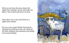 the night-time animals