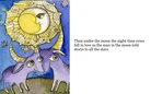 the night-time animals