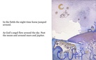 the night-time animals