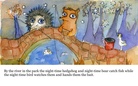 the night-time animals