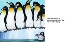 The Family 
  Of

Animals