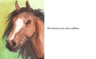 Where the horses have gone