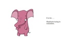 An Animal Alphabet
