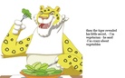 A mysterious tiger