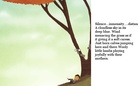 ROOTS