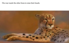 One Proud Lion