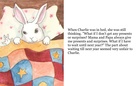 A Very Special Birthday for Charlie
