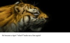 The Cursed Lion