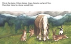 Hill hogger:a story celebrating rabbits and what they do