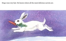 Hill hogger:a story celebrating rabbits and what they do