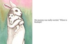 The Adventures of Rudolph the Bunny