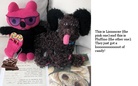 The Story of Lizzanoxe, Fluffino, and Zimbob