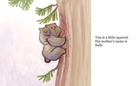Tim the Squirrel, the Reason We Should Save the Forests