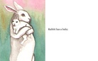 Rabbit's Life