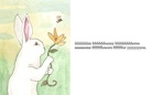 lost bunny, by cooper.