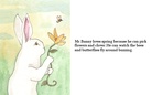 Why Mr.Bunny likes diffrent seasons