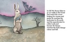 Why Mr.Bunny likes diffrent seasons