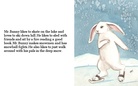 Why Mr.Bunny likes diffrent seasons