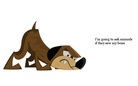 Where's my bone?