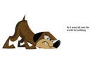 Where's my bone?