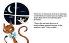 VENOMOUS ACID:


A rock n roll tale about the rise and fall of the world's greatest band