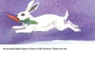 Bunny's Story