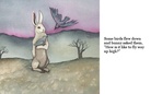 Bunny's Story
