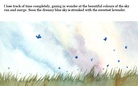 The Sky