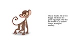 The Mystical Gorilla and the Monkey
