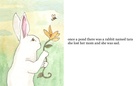 the  little  rabbit named tara