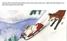 the  little  rabbit named tara