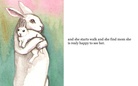 the  little  rabbit named tara