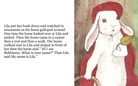 Lila the bunny