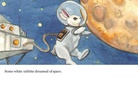 Land of White Rabbits