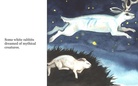 Land of White Rabbits