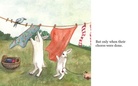 Land of White Rabbits