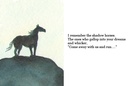 The Shadow Horses