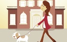 The Daily Dog Walk