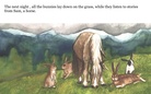 The Bunny Who Wanted a Family  By:  Abbie