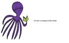 the  octupus