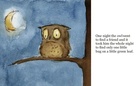 Owl Finds a Friend