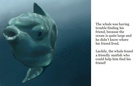 The friendly sunfish