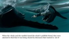 The friendly sunfish