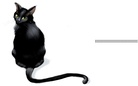 cats!