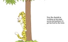 The Wild Ninja Cheetah