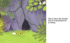 The Wild Ninja Cheetah