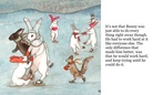 Bunny                  The        Astronaught