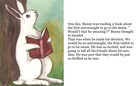 Bunny                  The        Astronaught