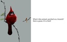 What's This Animal?