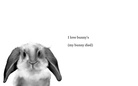I love animal's story
